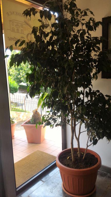 Raggio Di Sole Bed & Breakfast Rende Bagian luar foto